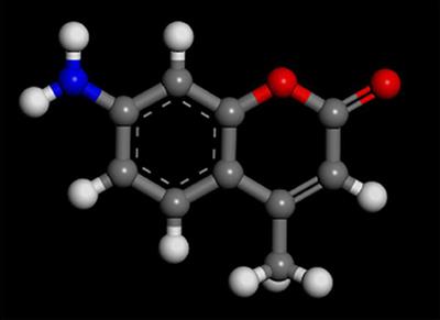 Fabrication of an AMC/MMT Fluorescence Composite for its Detection of Cr(VI) in Water